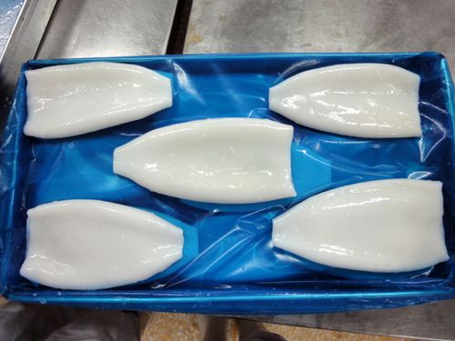 威海鱿鱼筒 冷冻鱿鱼筒 优质冷冻新鲜鱿鱼 海鲜产品加工 水产品